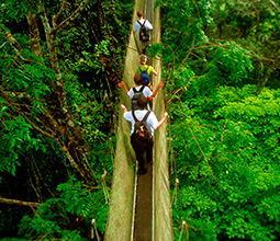 Tourists crossing a suspension bridge in Loreto